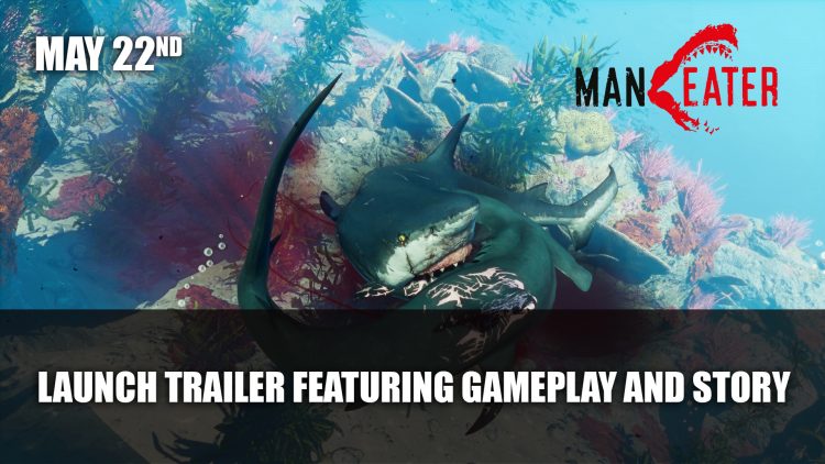 Maneater Gets A Launch Trailer Featuring Gameplay and Story