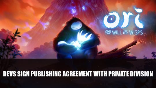 Ori Developer Moon Studios To Develop Action-RPG Published by Private Division