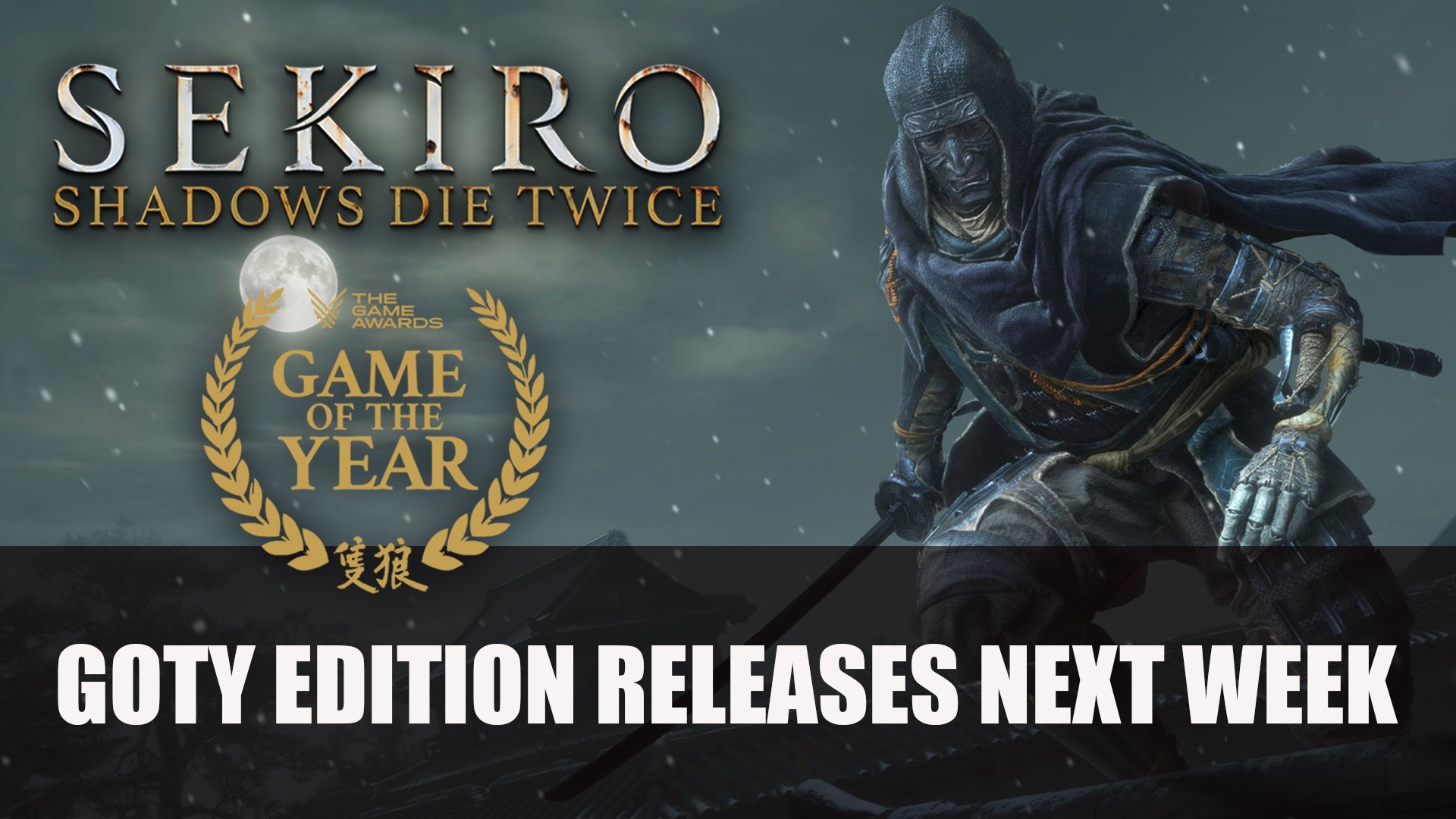 Sekiro: Shadows Die Twice [Game of the Year Edition]