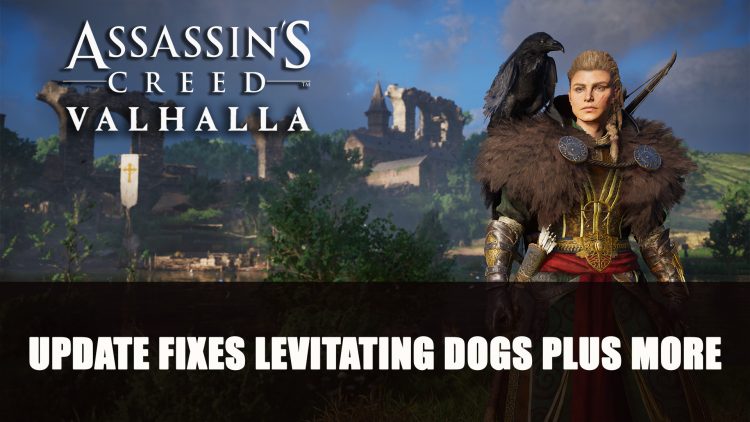 Assassin’s Creed Valhalla Latest Update Fixes Levitating Dogs, Falling Crows and More