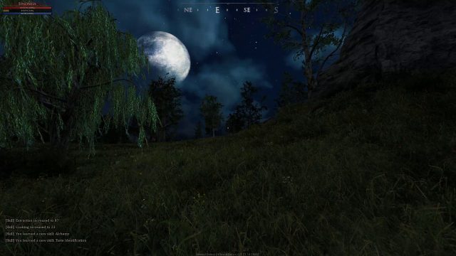 Mortal Online 2 Landscape at Night