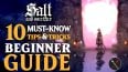 Salt and Sacrifice: Top 10 Tips for Beginners