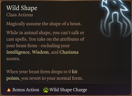 Combat Wild Shape of the Circle of the Moon Druid