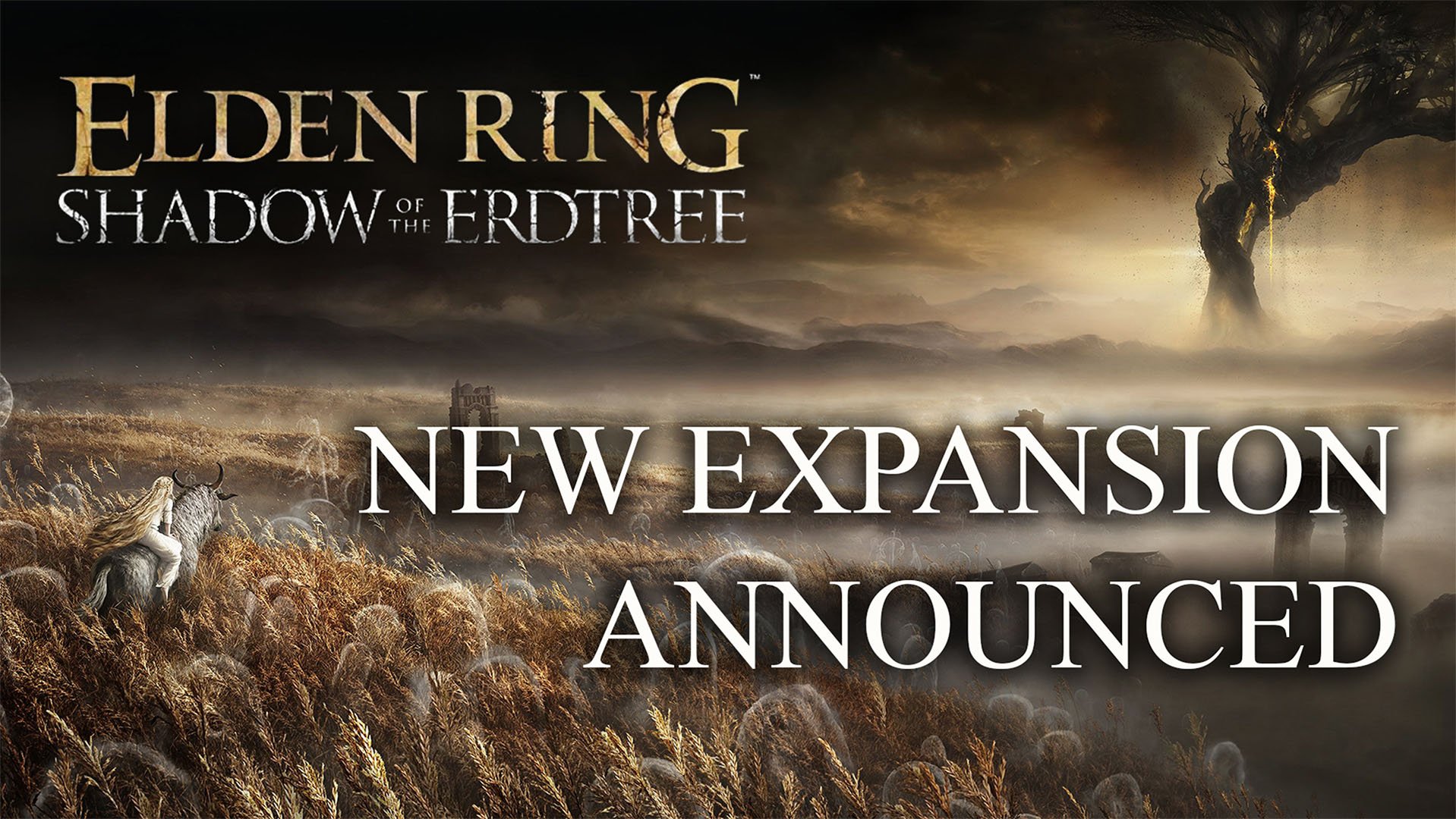 Expansion Ring. Elden Ring Shadow of the NERDTREE. Купить elden ring shadow of the erdtree