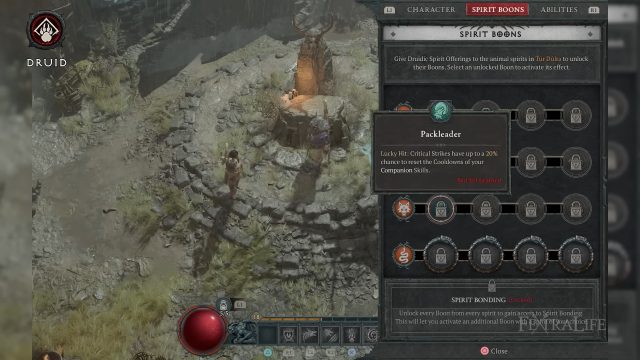 Best Diablo 4 Druid Builds with Spirit Boons to Gain Certain Advantages