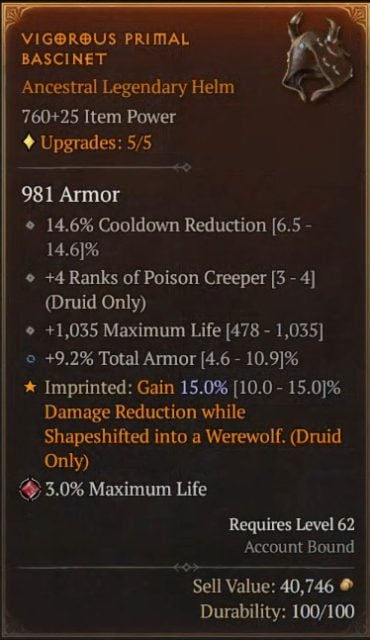 Diablo 4 Druid Build - Dire Wolf Vigorous Primal Bascinet to Gain Damage Reduction While Shapeshifted into a Werewolf