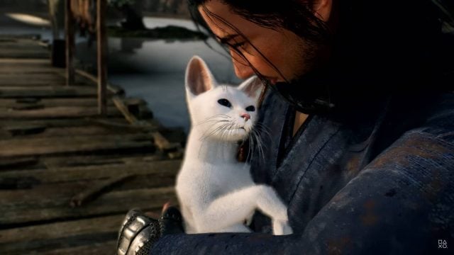 Collect a Cat in Rise of the Ronin